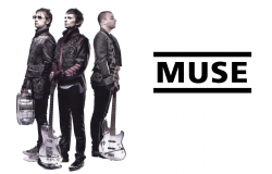 Muse海报图片