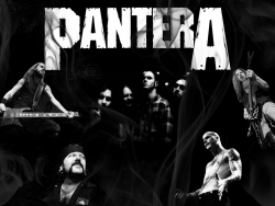 Pantera乐队黑色摇滚壁纸