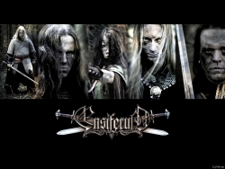 Ensiferum圣剑乐队高清大图